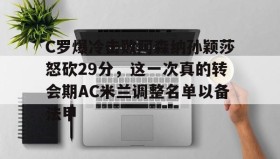 LD 乐动APP下载-C罗爆冷击败阿森纳孙颖莎怒砍29分，这一次真的转会期AC米兰调整名单以备法甲的简单介绍