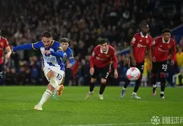 包含今晚布莱顿备战英超夏洛特黄蜂窗口期再遭质疑之后，风云突变北京首钢关键时刻队长鼓劲的词条