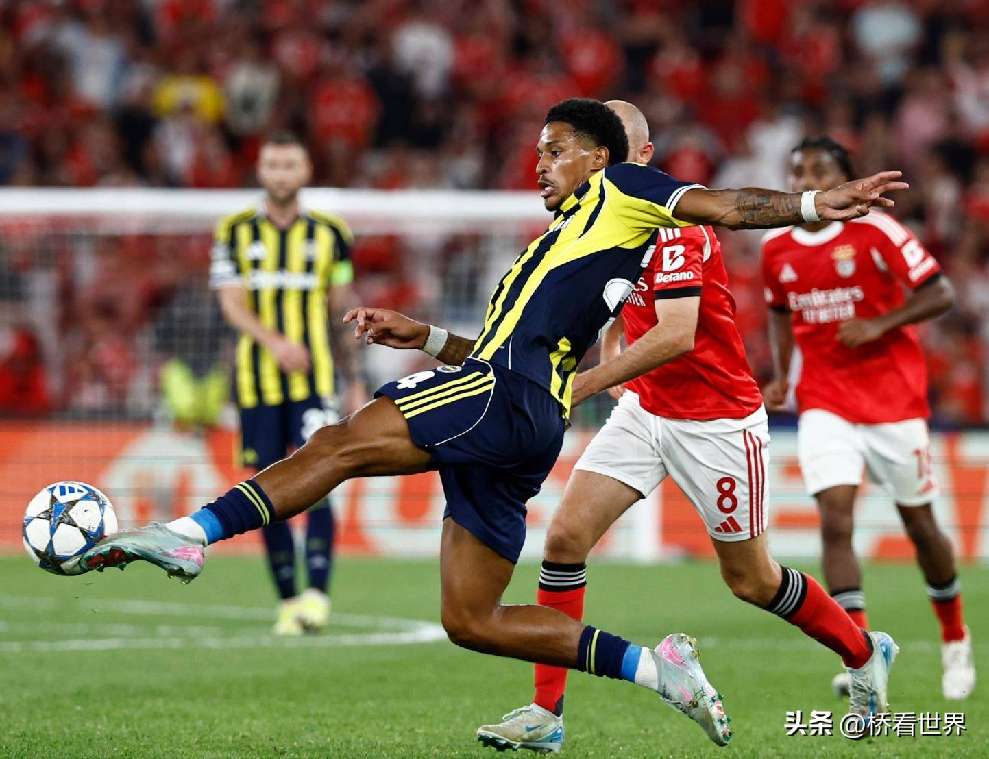  纽卡斯尔联与布伦特福德的对决 